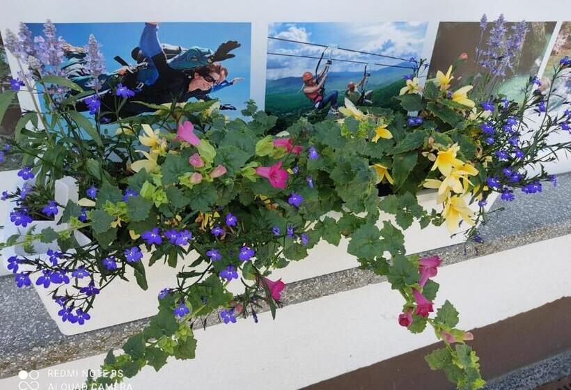 پانسیون Hacienda Bled Rooms