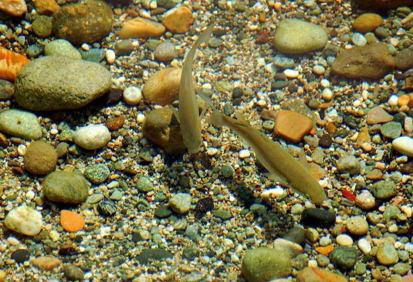 בית מלון כפרי Aeolis