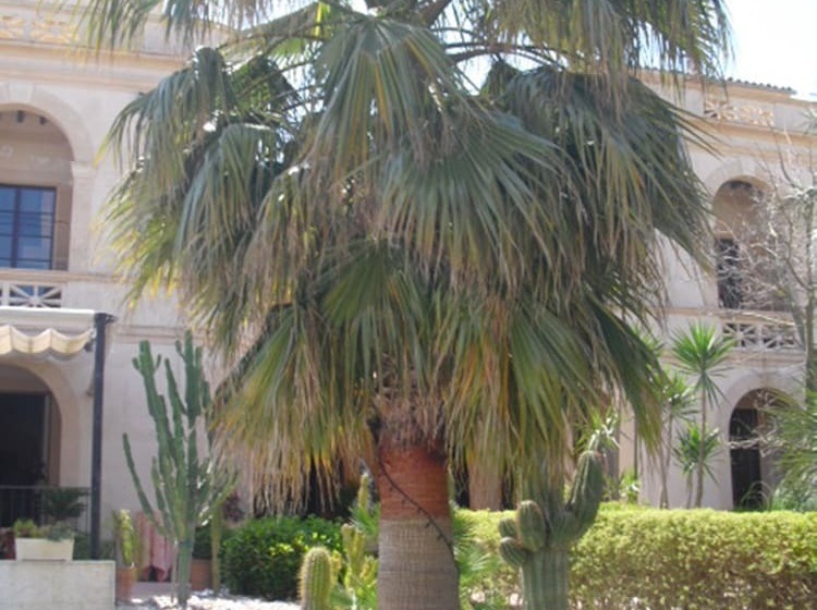 فندق Palacio Sant Salvador