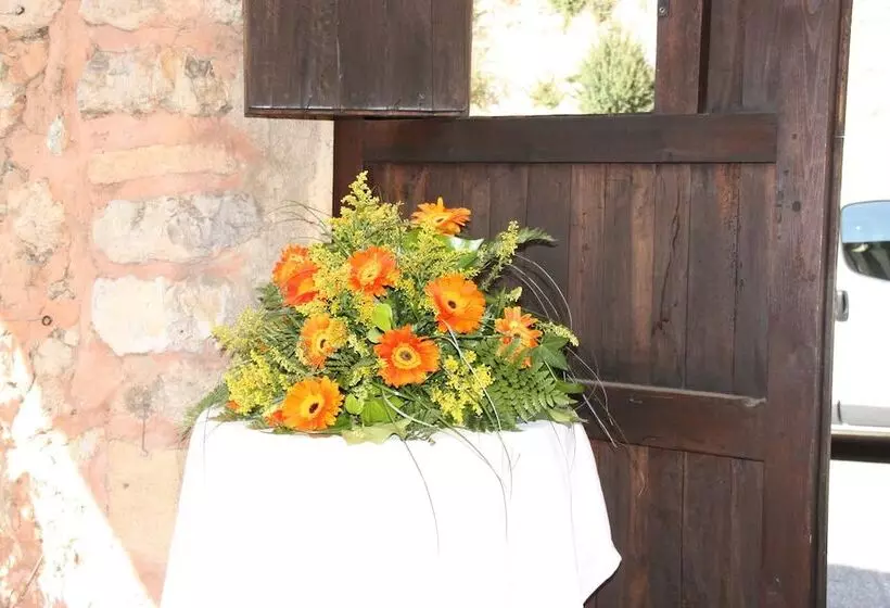 בית מלון כפרי Palacio Sant Salvador