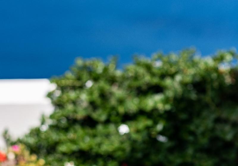 فندق Pantelia Suites