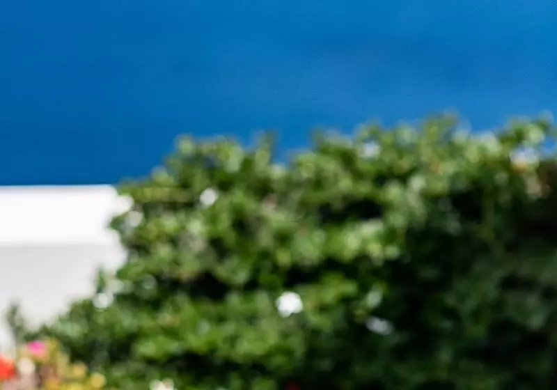 فندق Pantelia Suites