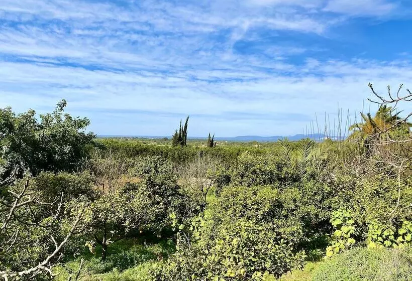 Сельский отель Son Terrassa