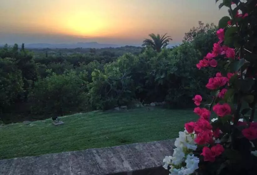 Сельский отель Son Terrassa