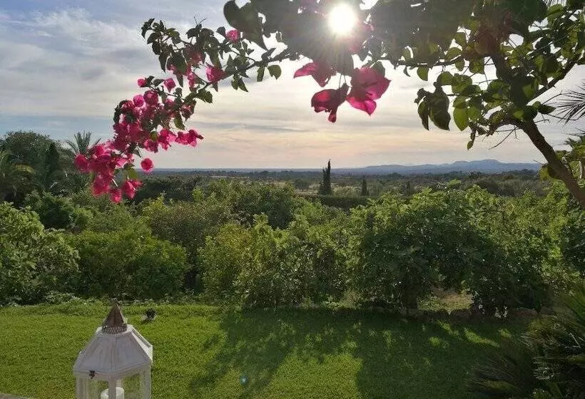 Сельский отель Son Terrassa