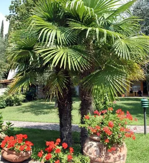 בית מלון כפרי Sailing Center