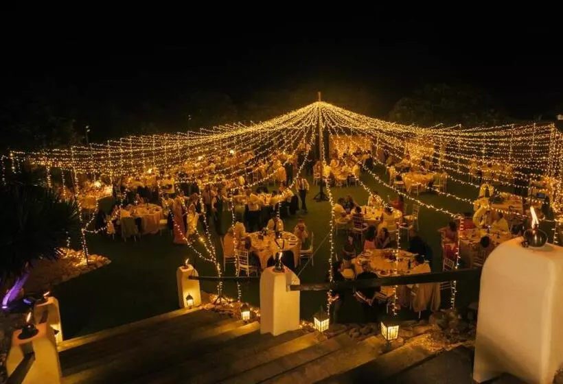 La Almendra Y El Gitano