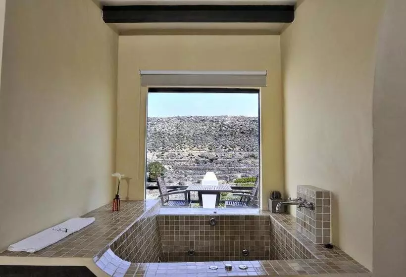 La Almendra Y El Gitano