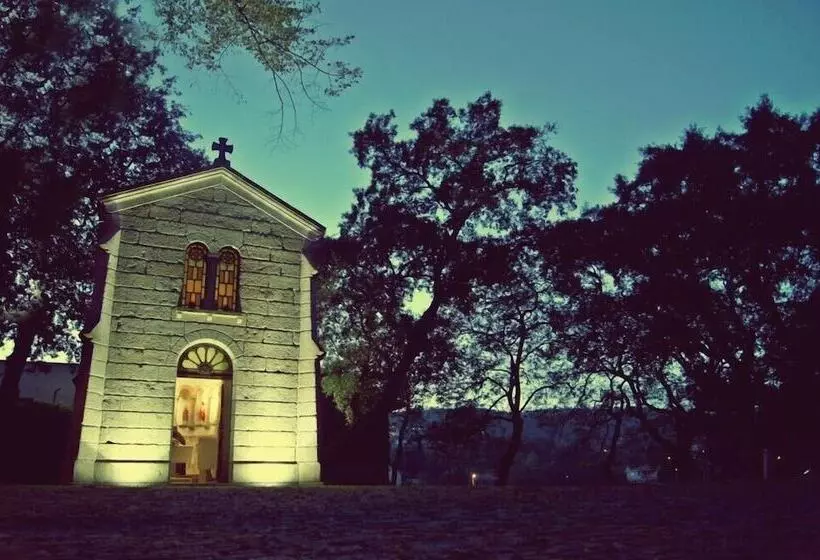 Palace Hotel & Spa Termas De Sao Vicente