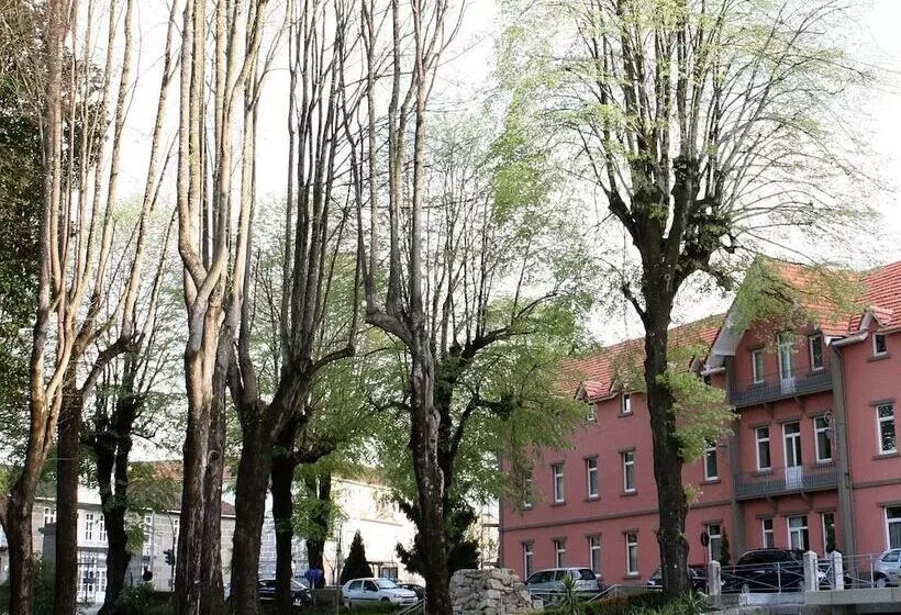 Palace Hotel & Spa Termas De Sao Vicente