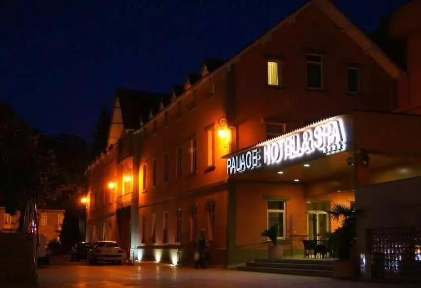 Palace Hotel & Spa Termas De Sao Vicente