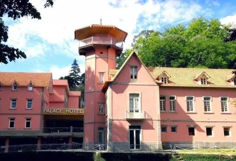 Palace Hotel & Spa Termas De Sao Vicente