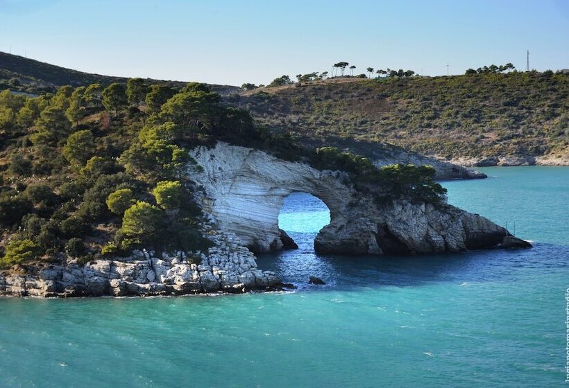 בית מלון כפרי Degli Ulivi