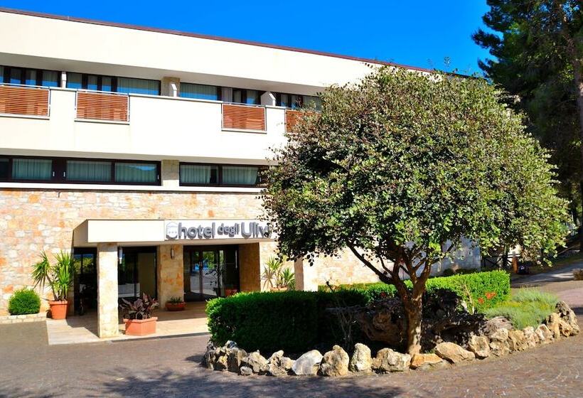 בית מלון כפרי Degli Ulivi