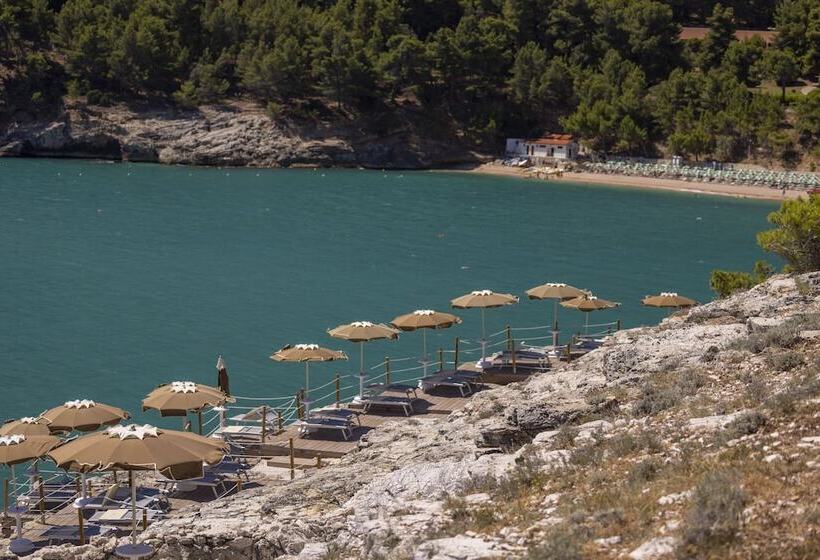 בית מלון כפרי Degli Ulivi