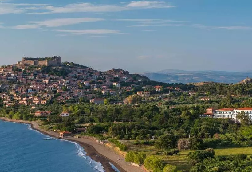 Delfinia Hotel & Bungalows