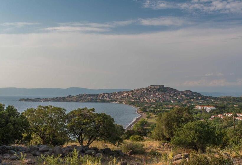 Delfinia Hotel & Bungalows