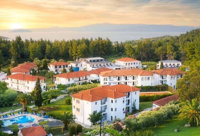 酒店 Chrousso Village