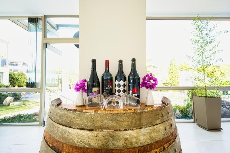 酒店 Chrousso Village