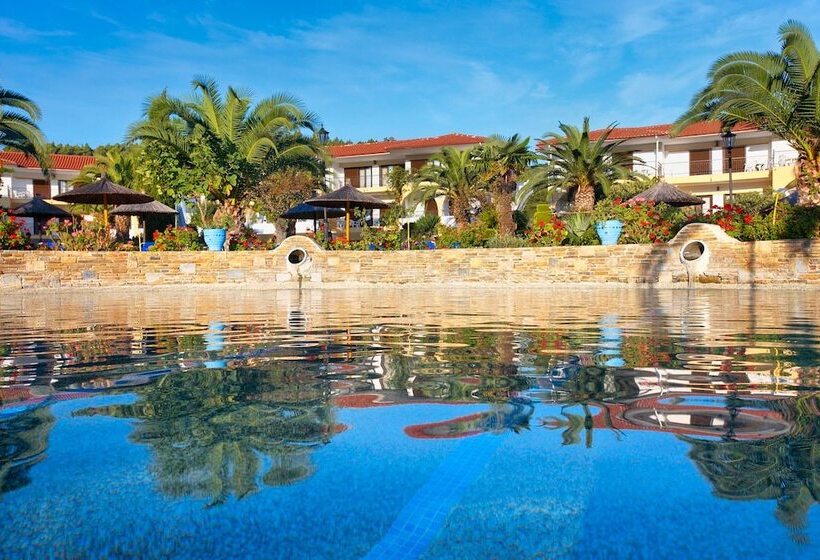 酒店 Chrousso Village