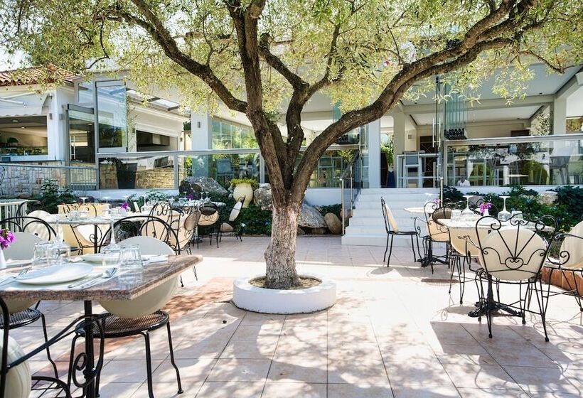 酒店 Chrousso Village