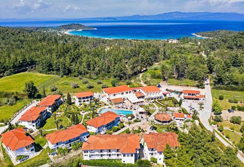 酒店 Chrousso Village