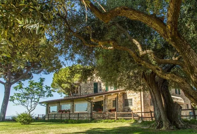 Hotelli Fattoria Di Magliano Winery