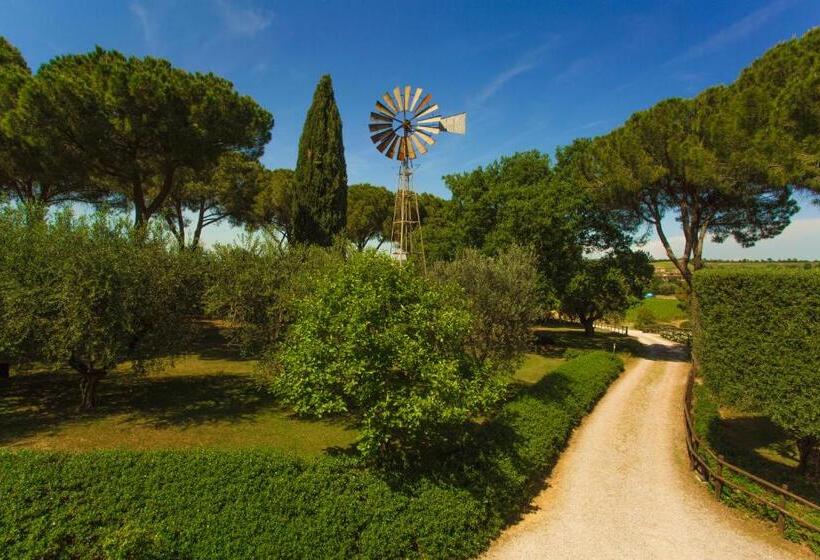 בית מלון כפרי Fattoria Di Magliano Winery
