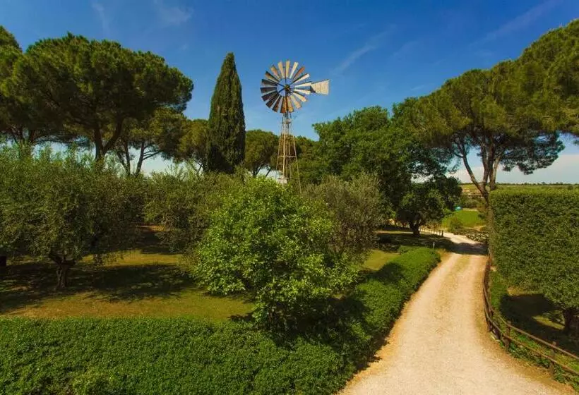 Hotelli Fattoria Di Magliano Winery