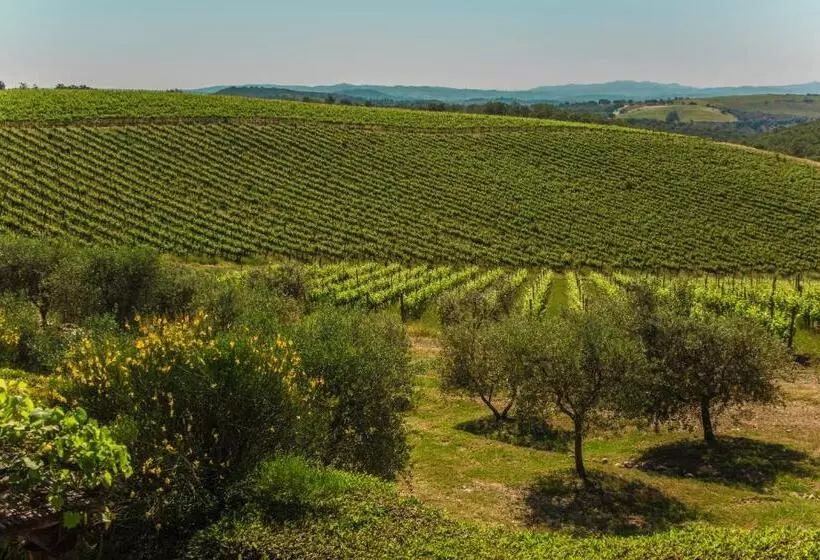 Hotelli Fattoria Di Magliano Winery