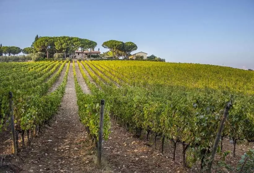 Hotelli Fattoria Di Magliano Winery