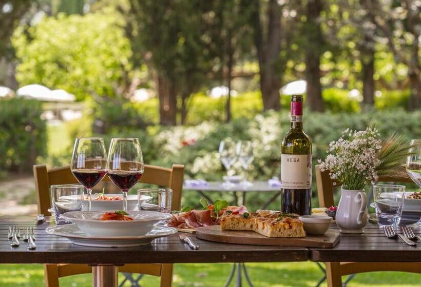 בית מלון כפרי Fattoria Di Magliano Winery