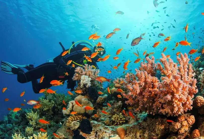 Kempinski Hotel Aqaba