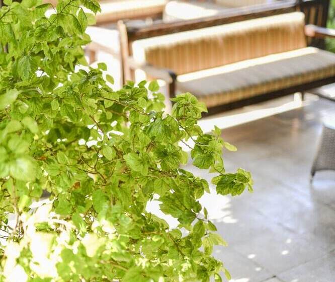 Отель Pia Bella