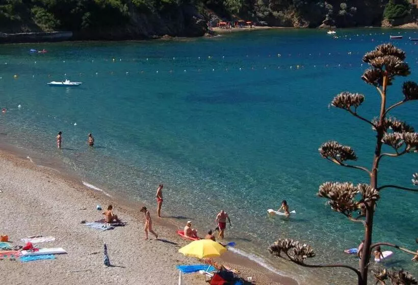 בית מלון כפרי Stella Maris