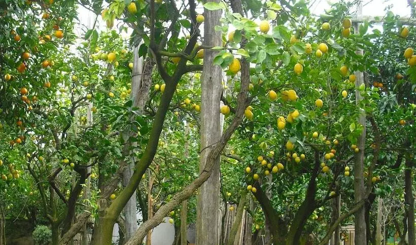 ホテル The Secret Garden Relais