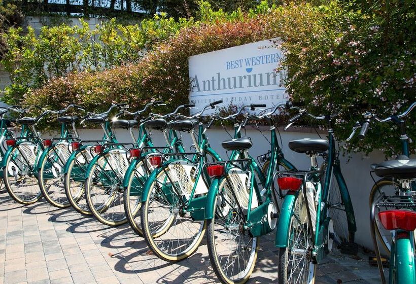 فندق على الطريق Best Western Hotel Anthurium