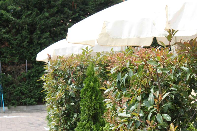 فندق على الطريق Best Western Hotel Anthurium