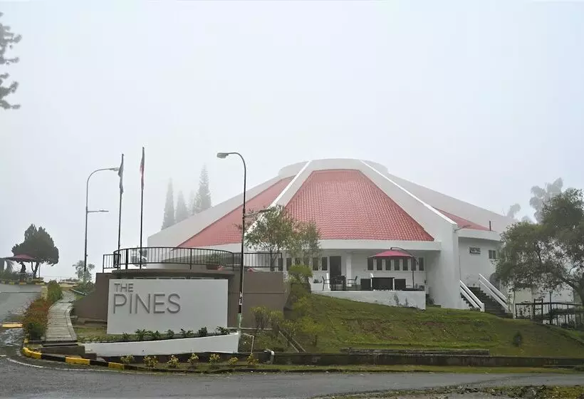 The Pines