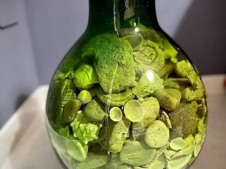 ベッドアンドブレックファースト The Place