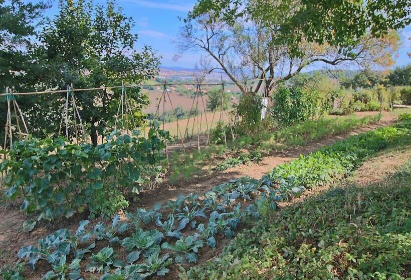 Cottage In Montelabbate With Pool, Garden, Bbq, Parking