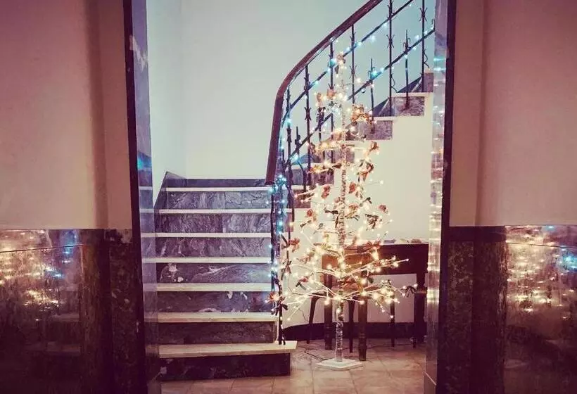 پانسیون Senhor Gigi