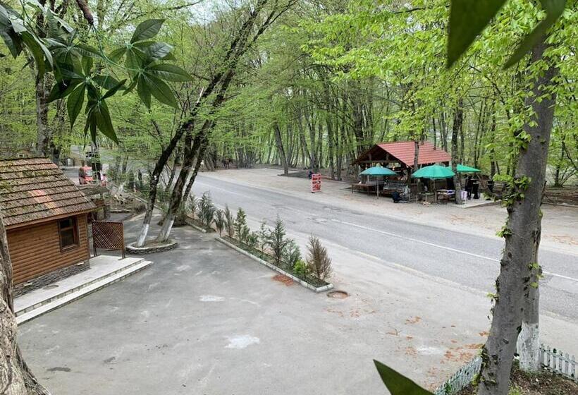 هتل Gachresh Forest Resort