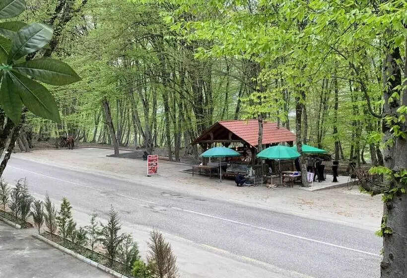 هتل Gachresh Forest Resort