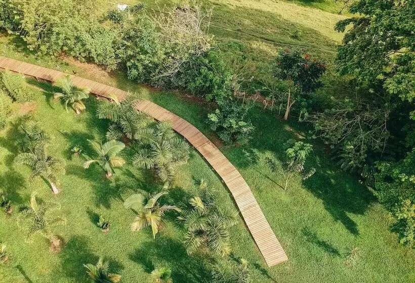 ホテル Glamping Entre Rios