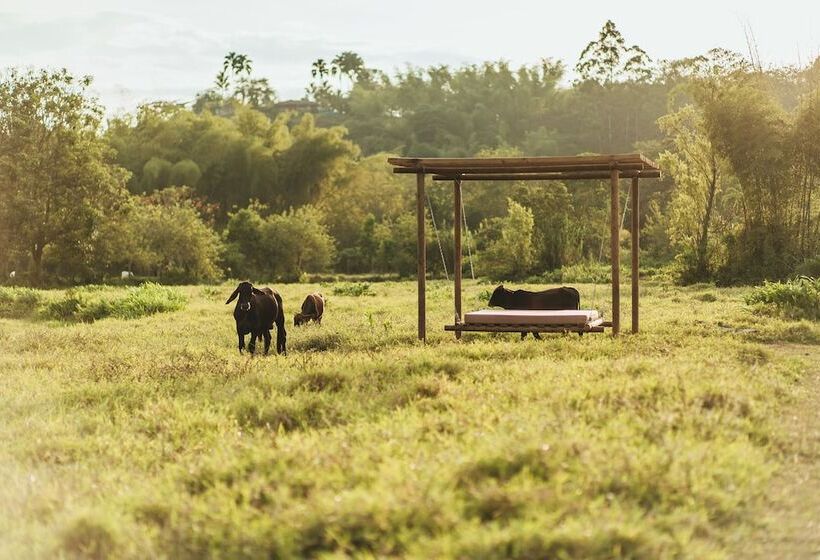 هتل Glamping Entre Rios