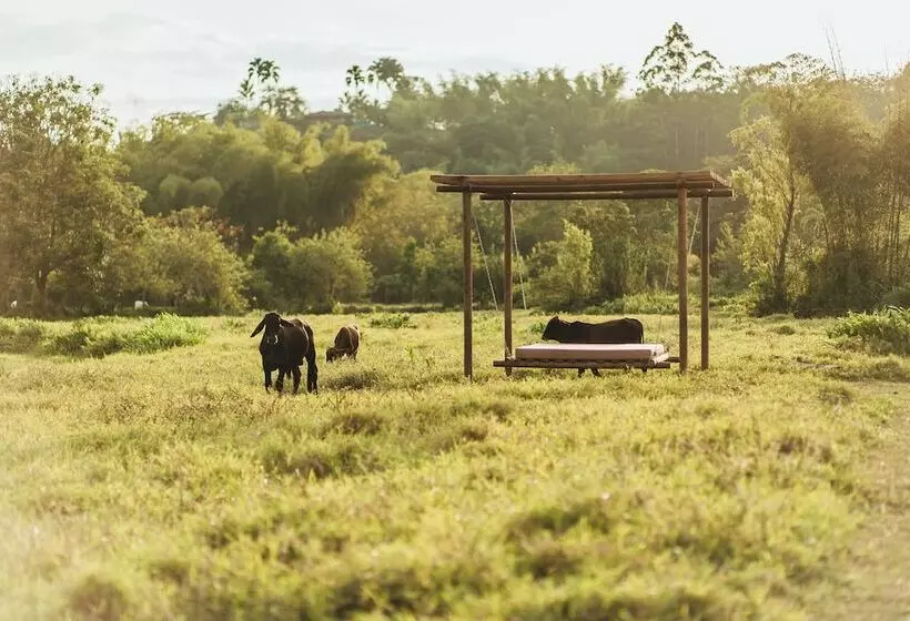ホテル Glamping Entre Rios