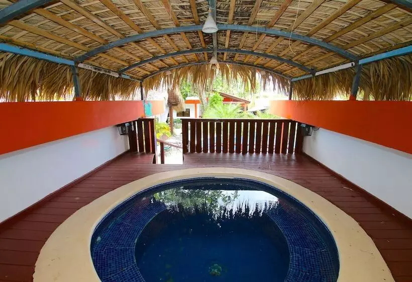 هتل Oasis Adult Resort