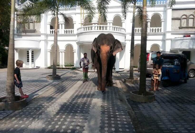 Hotel Bougain Villa By Tree