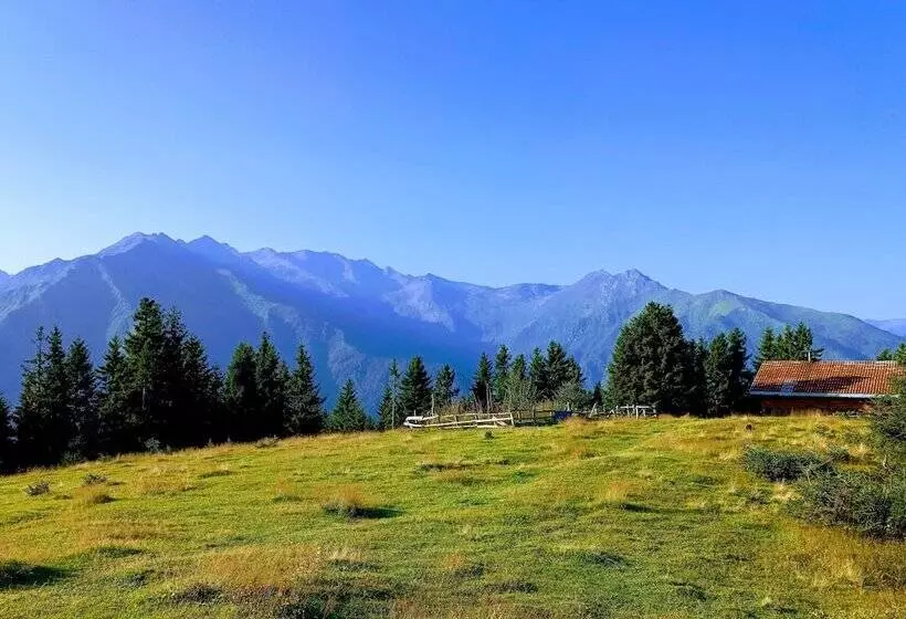 Majatalo Demircioglu Pokut Dag Evi